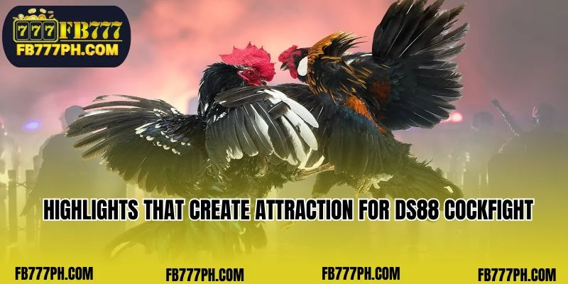 This encompasses the information introducing this top-tier product