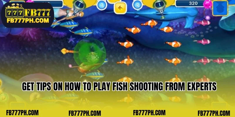 Get expert insights on mastering fish shooting techniques